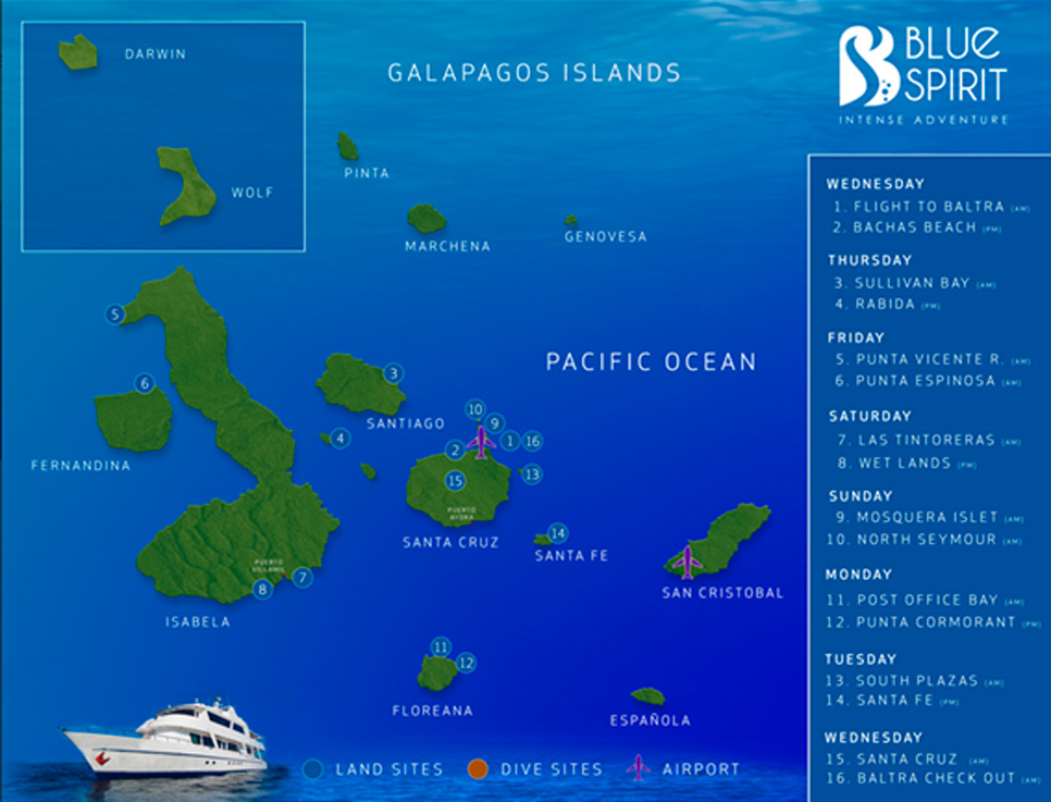 blue-spirit-naturalist-cruise-a