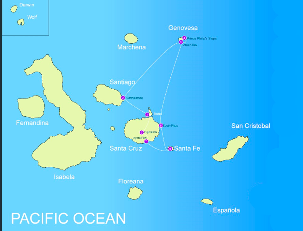 estrella-de-mar-map-a