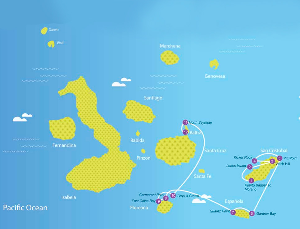 estrella-de-mar-map-b