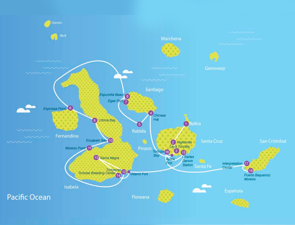 estrella-de-mar-map-c