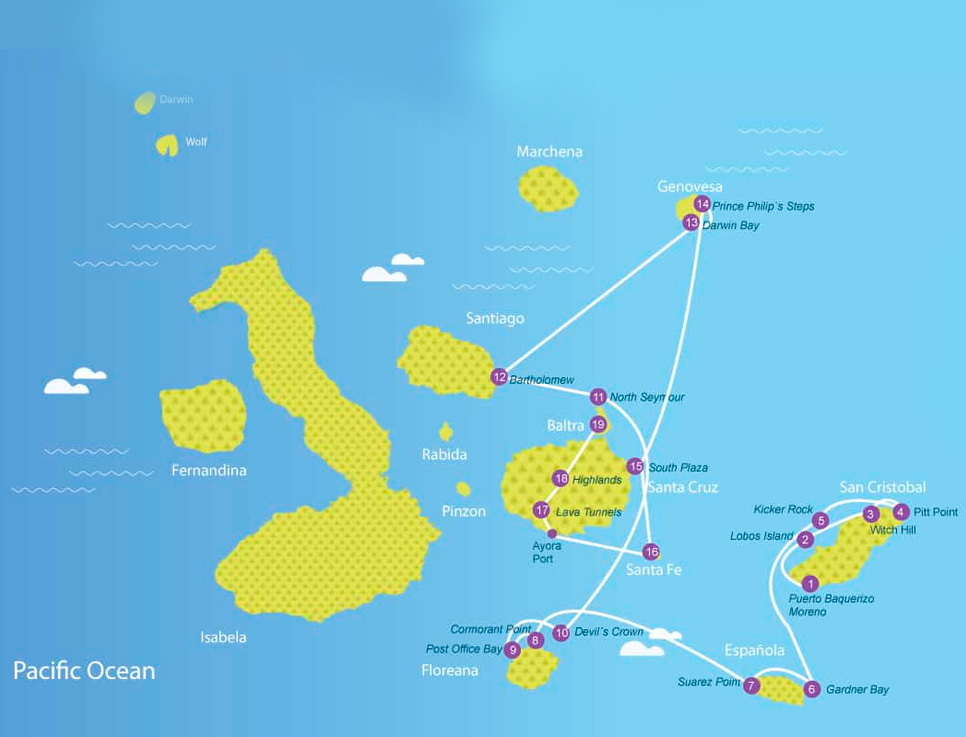 estrella-de-mar-map-d