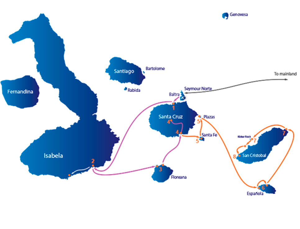 grand-queen-beatriz-map-a