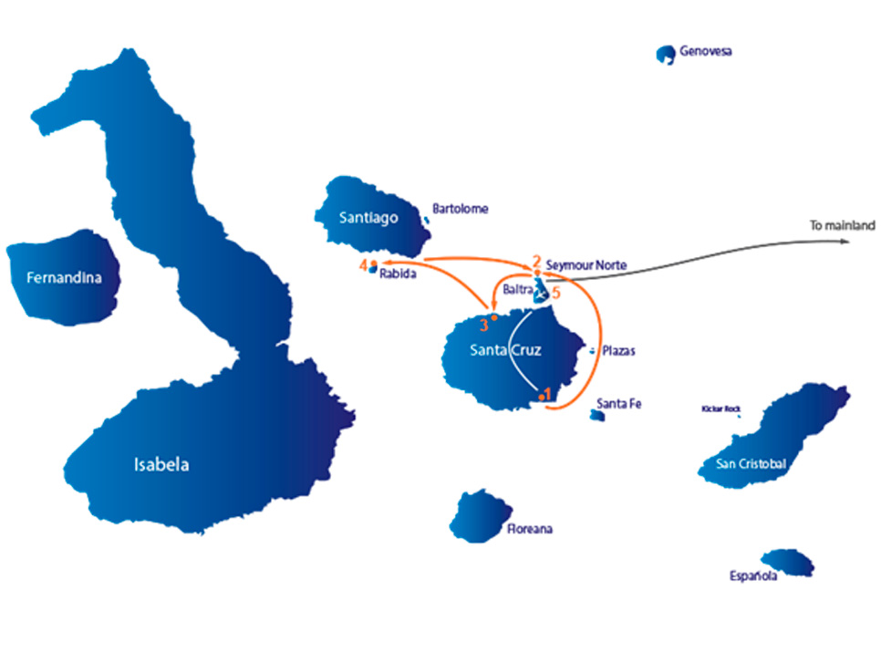 grand-queen-beatriz-map-b