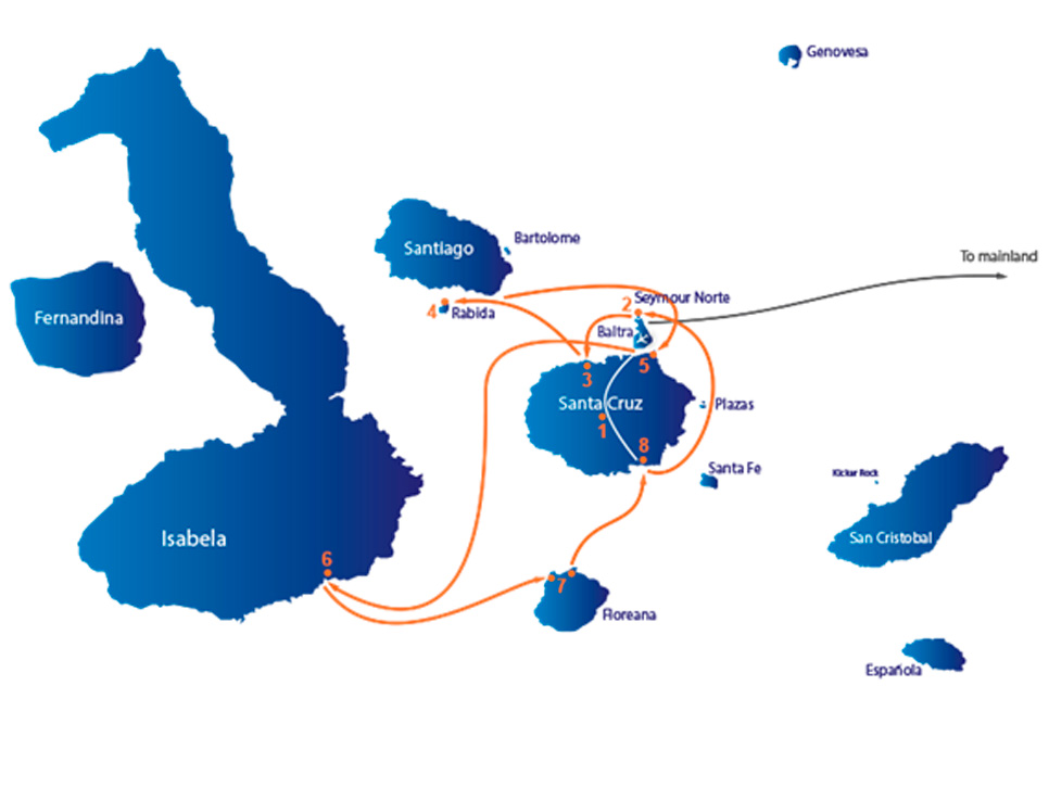 grand-queen-beatrzi-map-d1