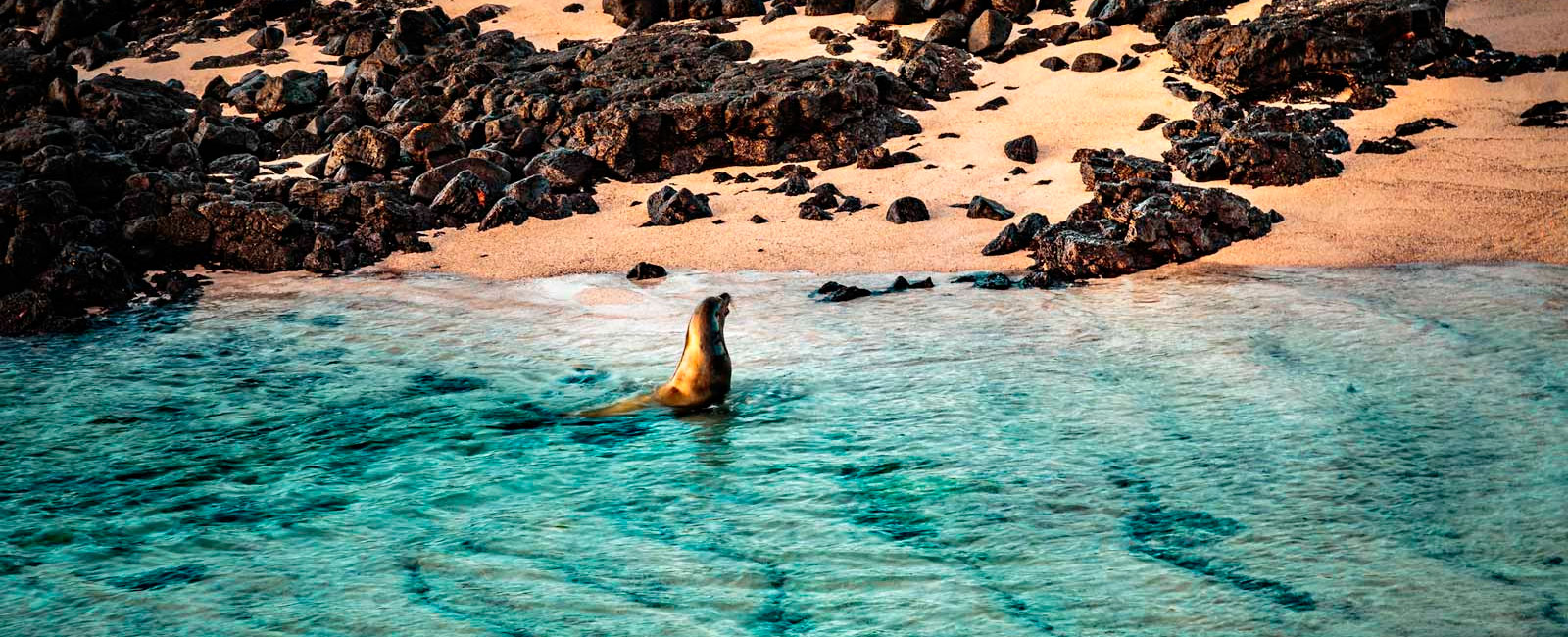 island-galapagos-hopping-travel-prices-last-minute-tour-operator-direct