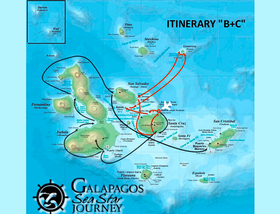 sea-star-journey-map-b+c