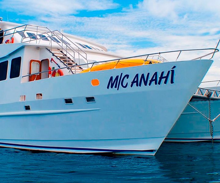 yacht-anahi-d